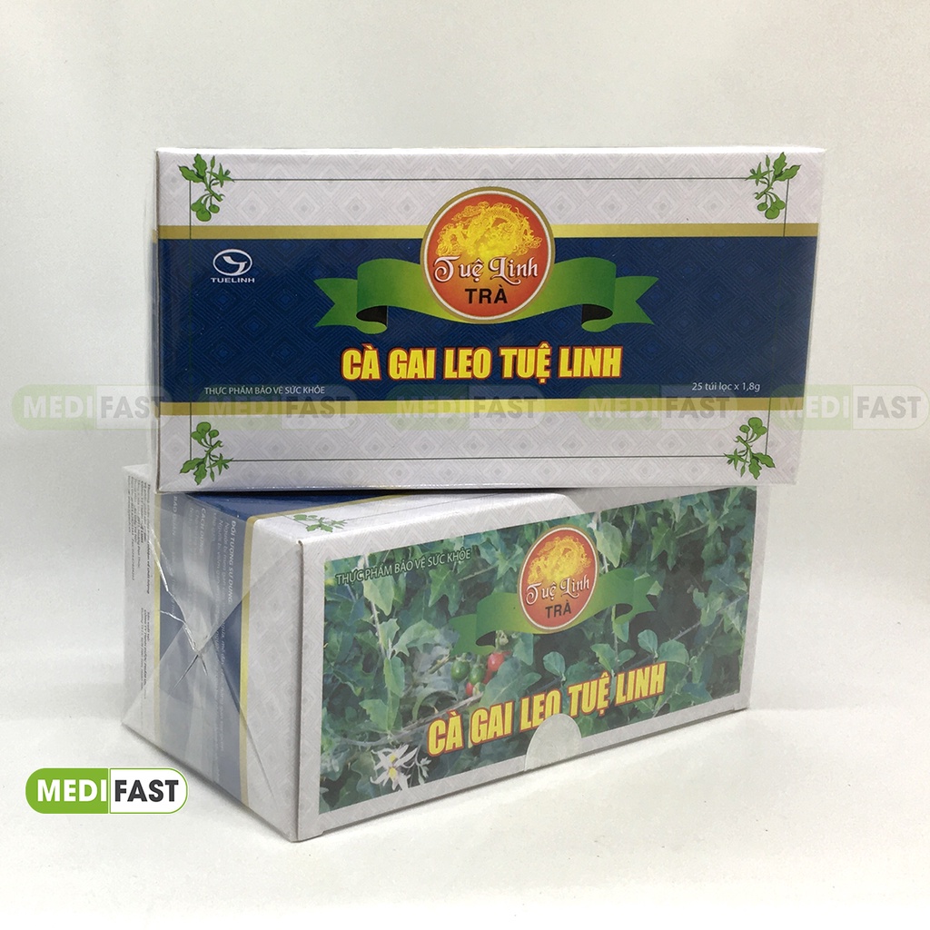 Trà dạng túi lọc Cà Gai Leo Tuệ Linh hộp 25 túi bảo vệ phục hồi tế bào gan tổn thương do rượu bia chất kích thích
