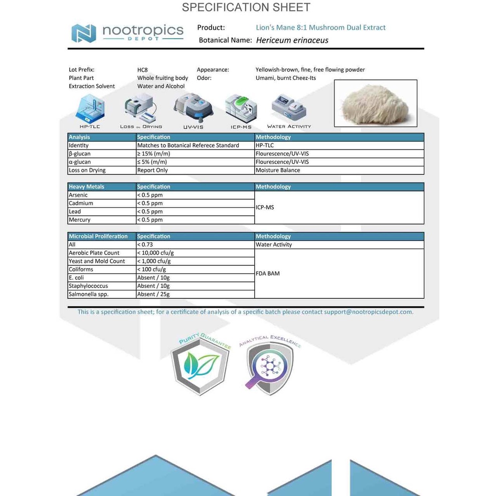 Bột Lion's Mane 8:1 Powder hỗ trợ não và thần kinh