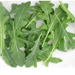 Hạt giống rau Rocket làm salad
