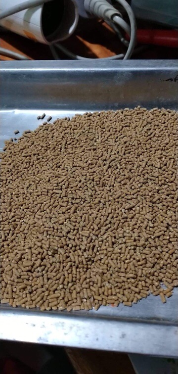 Cám chim chích chòe số 1 Nam Phở cao cấp 200g Phụ kiện lồng chim Kabosa