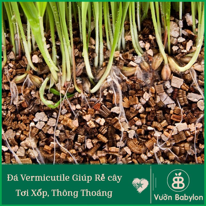 Đá Vermiculite (Đá Vơ Mi) NAMIX 5DM3 - Giá thể trồng cây, Giá thể trồng sen đá