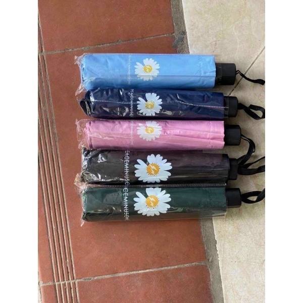 ô dù che mưa nắng