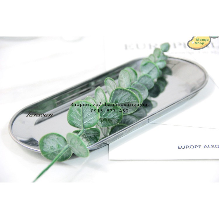 Lá cây bạch đàn Silver E decor phụ kiện chụp ảnh
