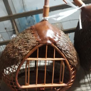 Lồng nuôi cu gáy quả đào lợp cói