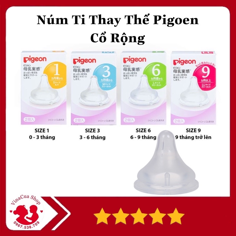 Set 2 núm ti thay thế Pigoen cổ rộng.