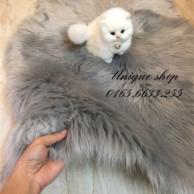 Thảm Lông Chụp Hình Gấu Xám Lông Dài
