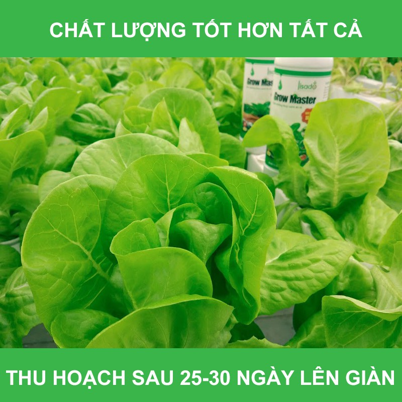 Dung dịch thủy canh Grow Master cặp 2 lít cho rau ăn lá đậm đặc pha 350 lít nước