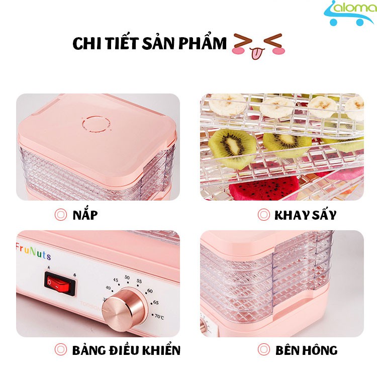 Máy sấy hoa quả thực phẩm Torsom L01 sấy khô sấy dẻo làm sữa chua hâm sữa mẹ nhỏ gọn dễ dàng sử dụng