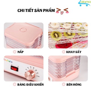 Máy sấy hoa quả TORSOM F-01J