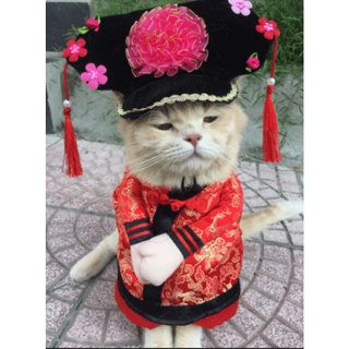 Bộ cánh cung đình
