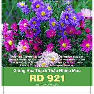 Gói 0,2g Hạt Giống Hoa Thạch Thảo Nhiều Màu Rado 921,  Hoa Có Vẻ Đẹp sang trọng Dễ Trồng