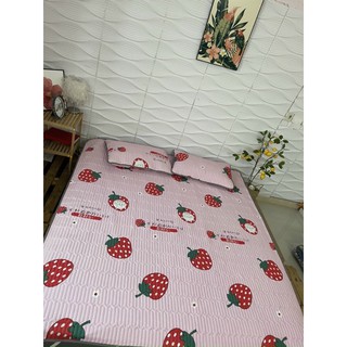 ( FREESHIP XTRA) CHIẾU ĐIỀU HOÀ THƯƠNG HIỆU ( mới nhất)