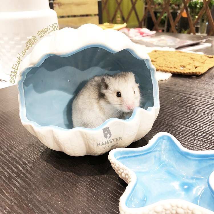 Nhà ngủ vỏ sò cho hamster, sóc, nhím,chinchilla