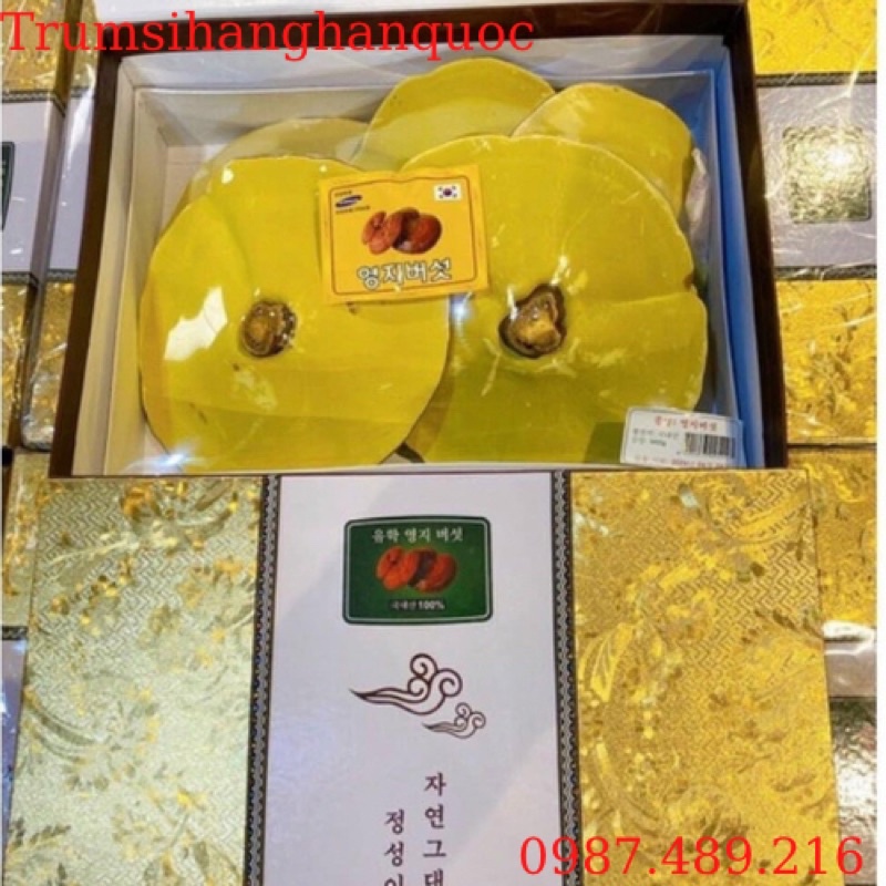 [HÀNG MỚI] Nấm Linh Chi Vàng Chanh Hộp Kim Tuyến Vàng Hàn Quốc, Hộp quà biếu sang trọng 1kg