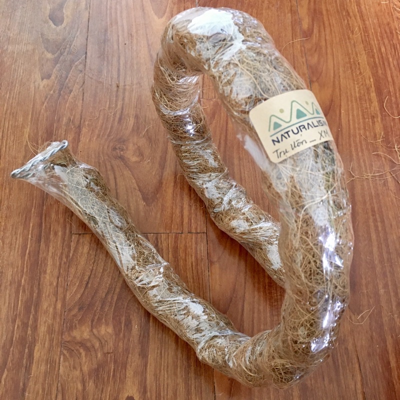 Trụ Xơ Dừa uốn Sáng Tạo Naturalism cây leo koke trầu bà Monstera leo mini