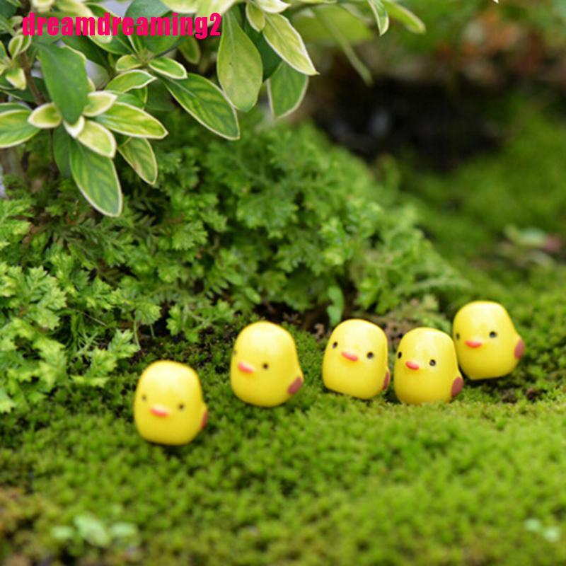 Set 5 mô hình chú gà mini trang trí tiểu cảnh sân vườn