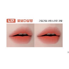 Son BBIA Last Velvet lip Tint