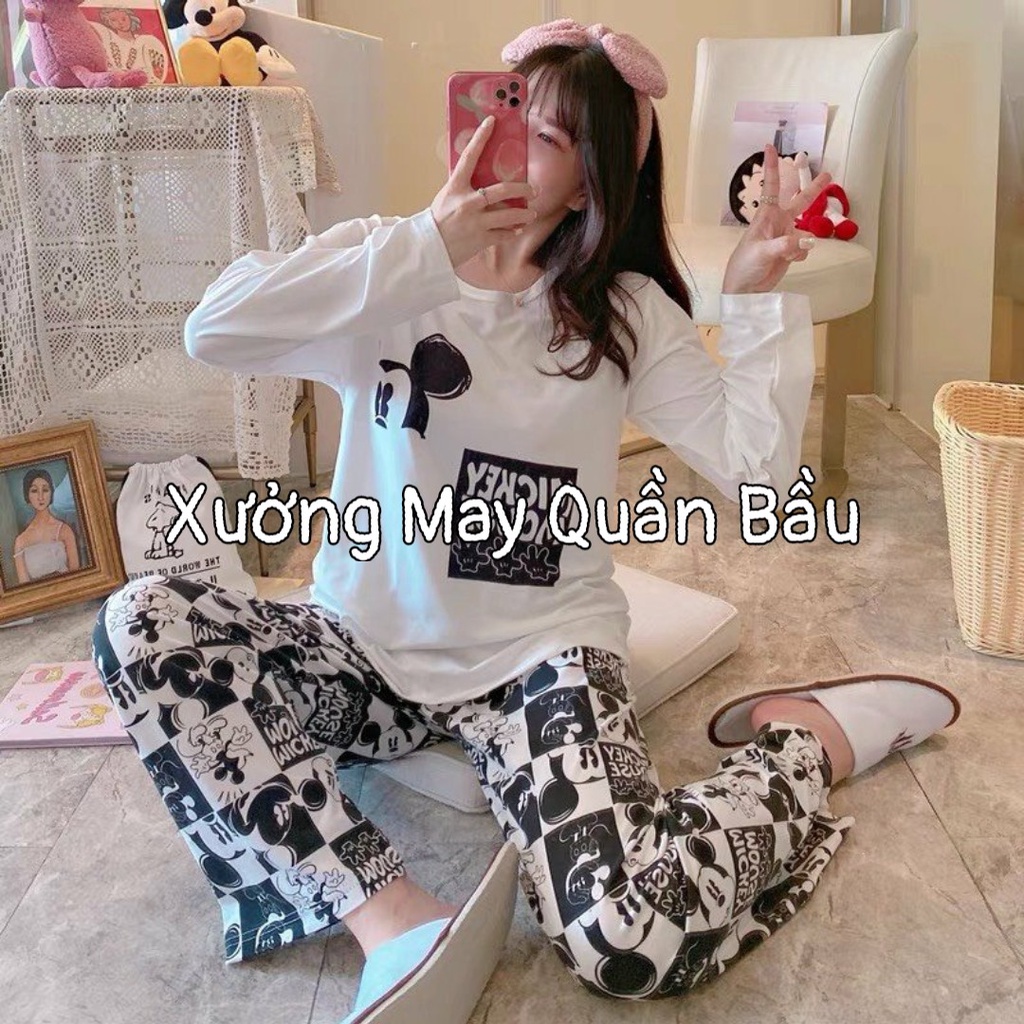 Bộ đồ bầu CHẤT THUN SỮA CAO CẤP HỌA TIẾT HOẠT HÌNH siêu kute mặc bầu và sau sinh BD939