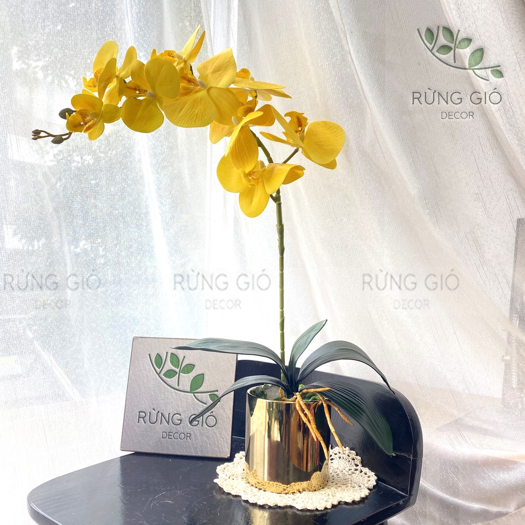 Set Bình Lan Hồ Điệp (gồm cả bình mạ màu vàng + 1 cành hoa 9 bông to), hoa lan cao su cao cấp mã Sét 11