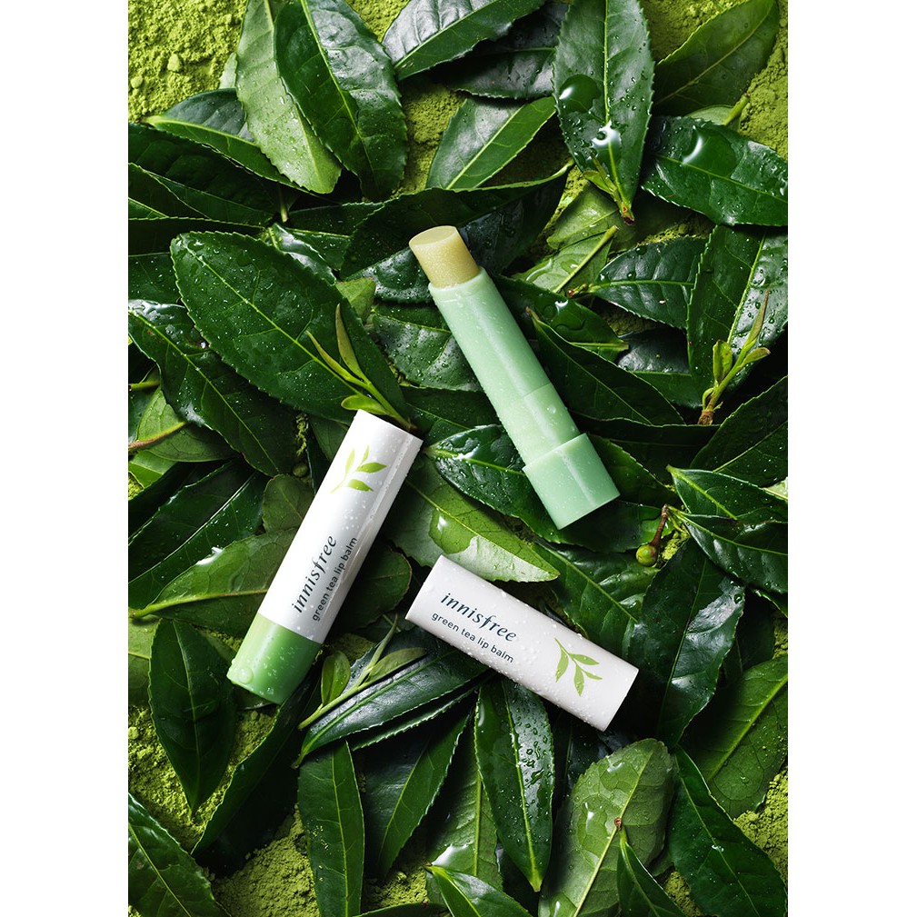 Son dưỡng môi từ trà xanh innisfree Green Tea Lip Balm 3.6g | BigBuy360 - bigbuy360.vn