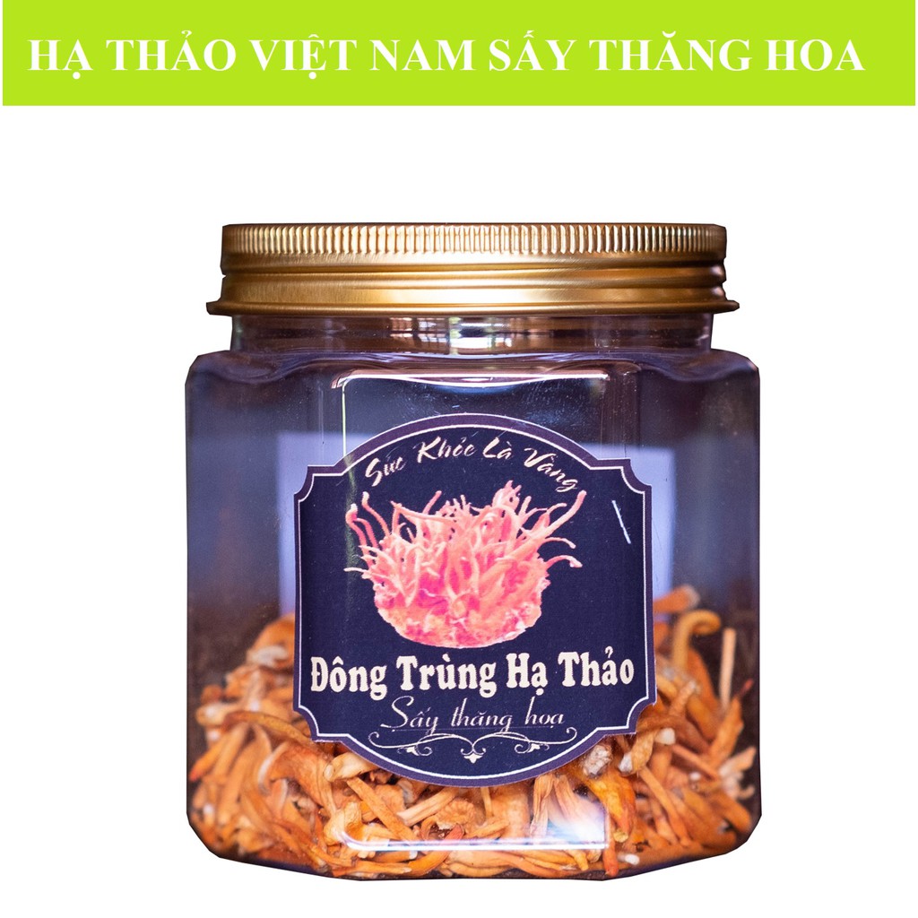 10g Đông Trùng Hạ Thảo khô sấy thăng hoa loại vụn - Cây Nấm Việt