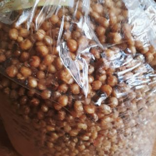 NGÔ CAY SỈ 5KG