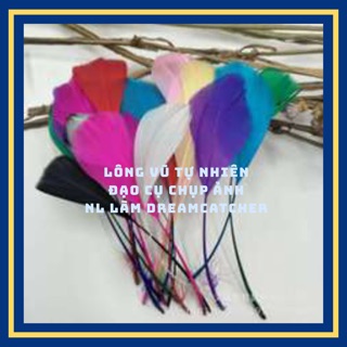 Lông vũ tự nhiên