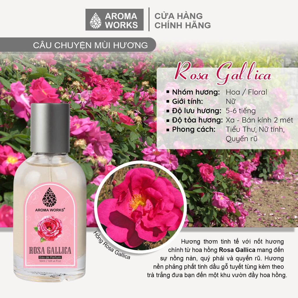 Tinh dầu nước hoa cô đặc, lưu hương lâu Aroma Works Rosa Gallica Eau De Parfum