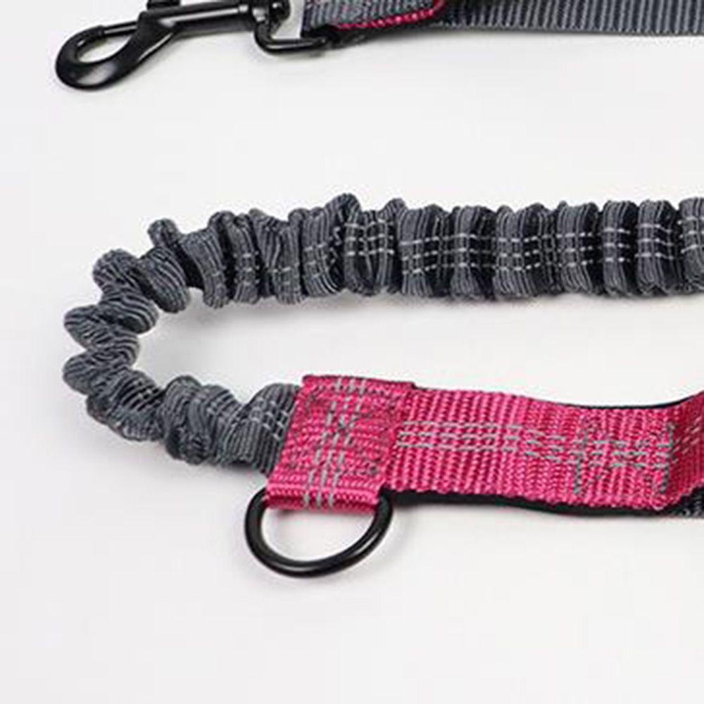 Dây Dắt Thú Cưng Đi Dạo Chống Thấm Nước Có Thể Điều Chỉnh Tiện Dụng