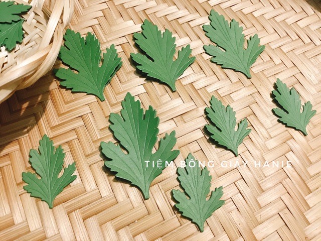 100 lá cúc 2 size nhỏ và lớn