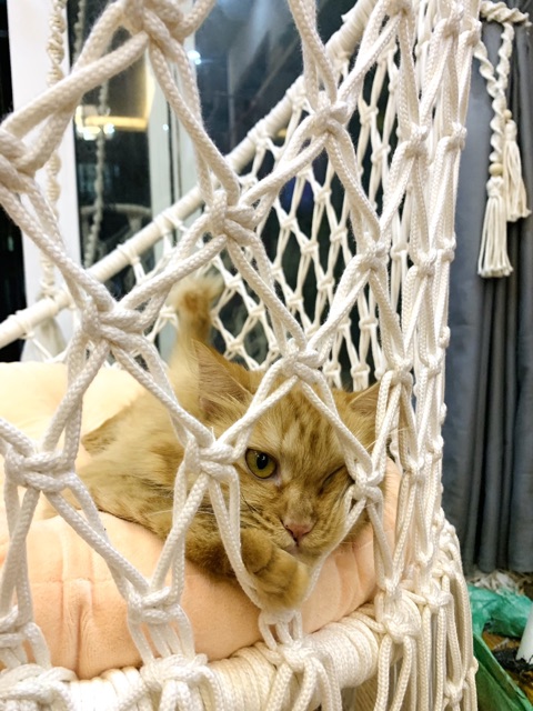 Xích đu macrame 80cm không kèm đệm và khung treo