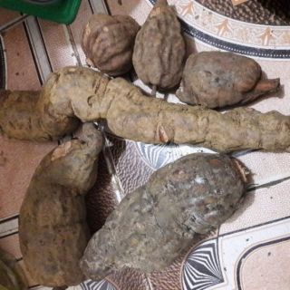 Sỉ toàn quốc 2kg hà thủ ô tươi