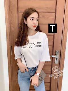 Áo phông LOOKING ( TR)