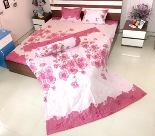 Sét 5 ga gối poly cotton