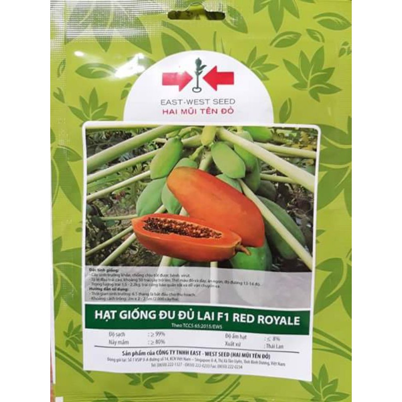 Giống Đu Đủ Bonsai, Đu Đủ Thái Lùn Siêu Trái (4-70 Hạt)