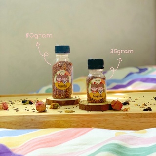 [Thức Ăn Dặm] Hạt Bo Bo Đỏ Dành Cho Hamster - Kasabi Sốp