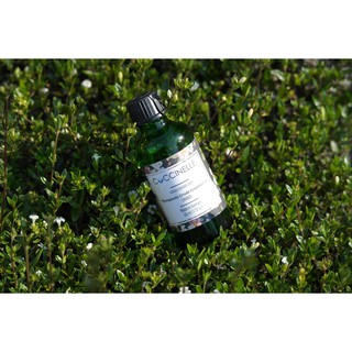 Tinh Dầu Cafe 50ml - 100ml Coccinelle - Coffee Essential Oil