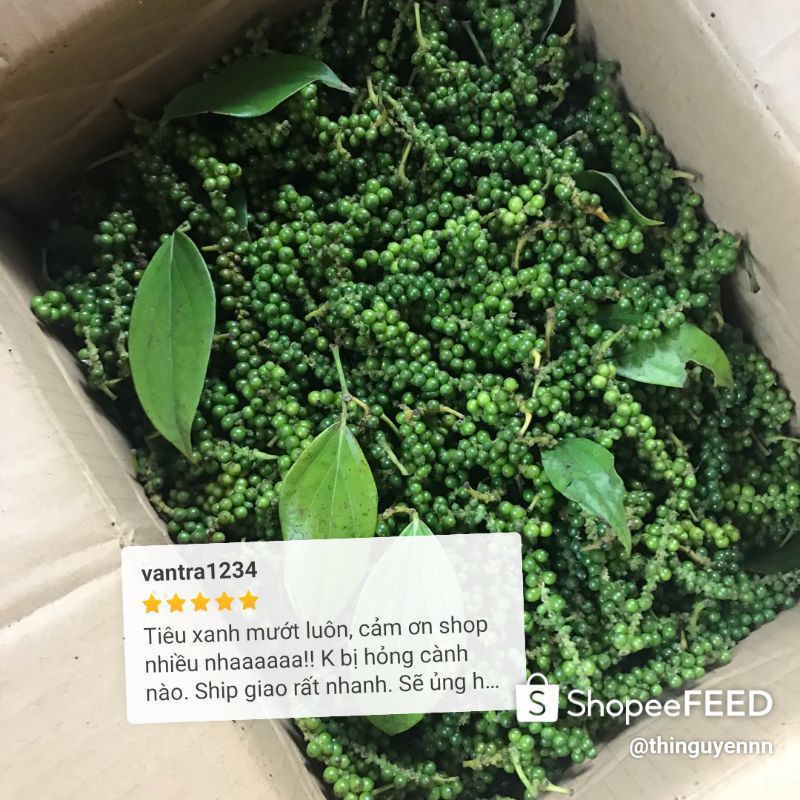 Sỉ 5kg tiêu xanh /tiêu khô nhà trồng Đắk Lắk chuẩn sạch