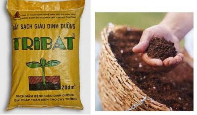 Đất Tribat dinh dưỡng 20dm3, Đất trồng cây có kèm phân bón, Trồng rau mầm, Rau, Hoa giá tốt nhất