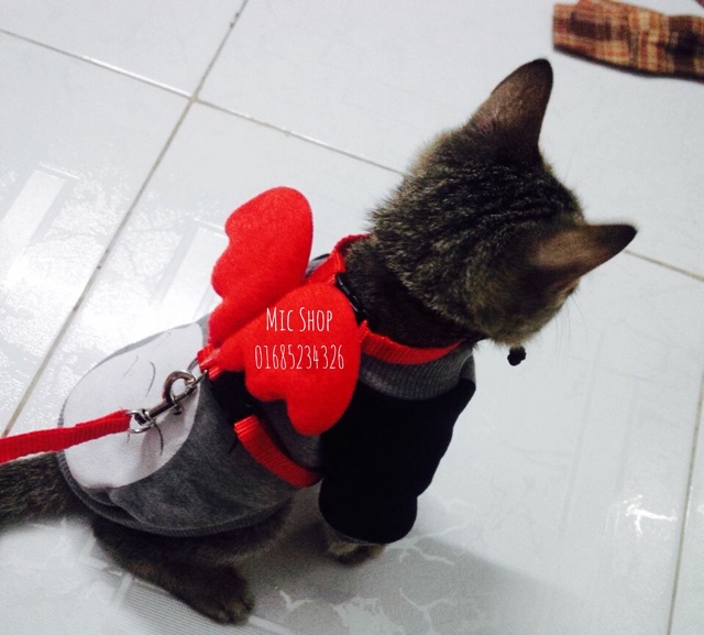 Dây dắt cánh thiên thần cho chó mèo