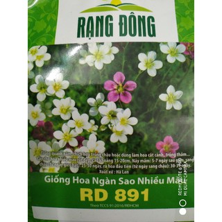 Hạt giống hoa ngàn sao nhiều màu ❤️freeship xtra❤️