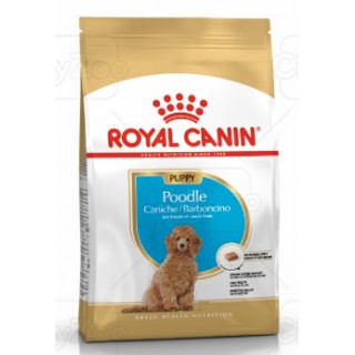 ROYAL CANIN POODLE PUPPY - Thức ăn dành cho chó con giống Poodle gói 500gr