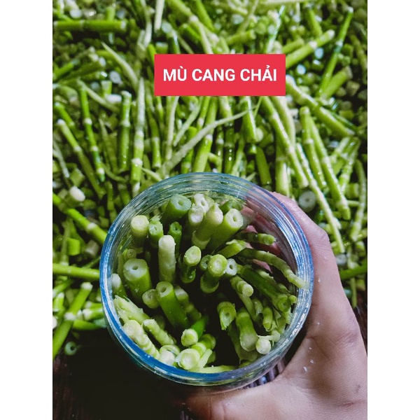 Măng tươi ngâm, măng trúc ngâm muối chua không ớt hộp 650g