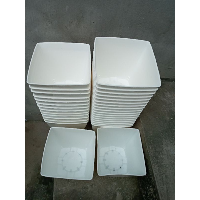 CHẬU TRẮNG TINH PHI 16CM