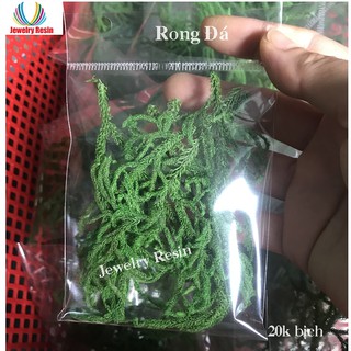 Rong Đá Thật
