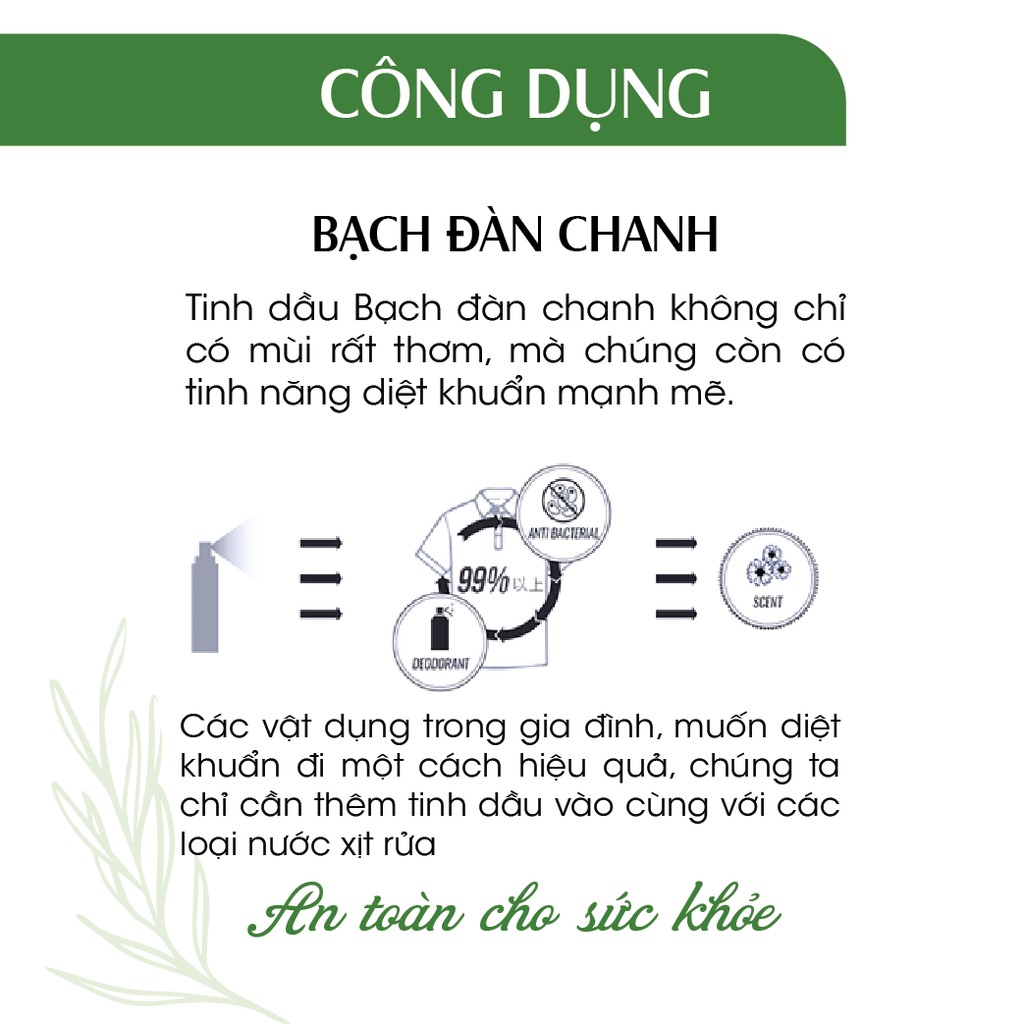 Xịt Phòng Tinh Dầu Bạch Đàn Chanh Hữu Cơ Organic 24Care 50ML - Kháng khuẩn - Khử mùi hôi - Đuổi muỗi, côn trùng