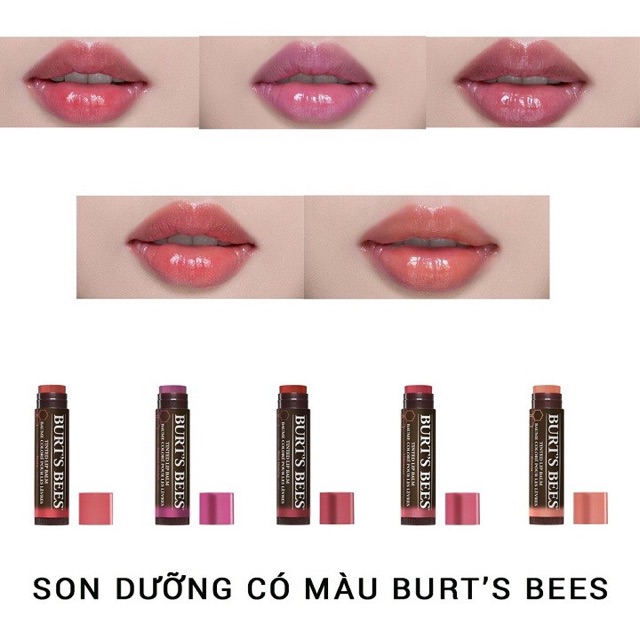 [PHÂN LOẠI] Son dưỡng có màu BURT'S BEES TINTED LIP BALM 4.25g