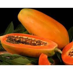 Hạt Giống Đu Đủ Lùn Ruột Đỏ Trái To F1  - Ngọt, Dinh Dưỡng, Năng Suất Cao - MUA 3 TẶNG 1 CÙNG LOẠI