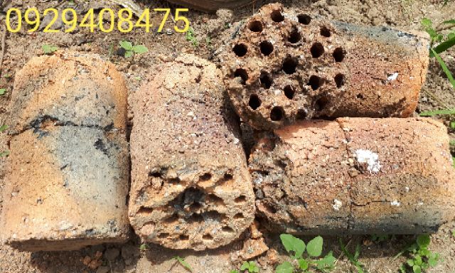 XỈ THAN trồng cây, lót nền bể cá, vệ sinh chó mèo đã qua XỬ LÝ