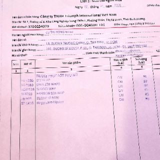Áo ngực Sloggi WHP